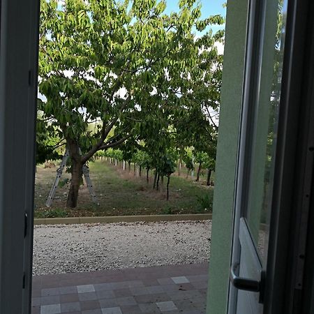 Bed and Breakfast Marimà à Pollenza Extérieur photo